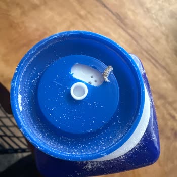 Şikayet Safir Tuz Kurt Var İçinde