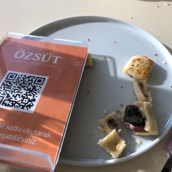 Özsüt'ten Alınan Kuru Pasta Küflenmiş