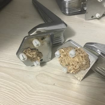 Weltew Home Marmaris Konsol Ayağı Kırılması
