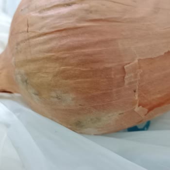 A101 Kapıda Çürük Kokan Ürün Yollaması