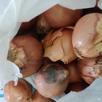 A101 Kapıda Çürük Kokan Ürün Yollaması