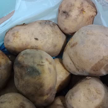 A101 Kapıda Çürük Kokan Ürün Yollaması