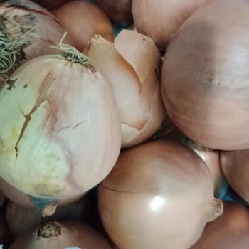 A101 Kapıda Çürük Kokan Ürün Yollaması