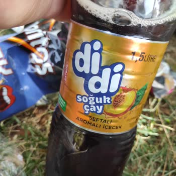 Didi İçinden Çıkan İpliksi Bir Şey