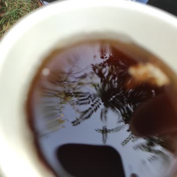 Didi İçinden Çıkan İpliksi Bir Şey