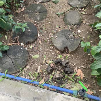 İzelman Otopark Peyzajı Nedeni Kırılan Ayağım