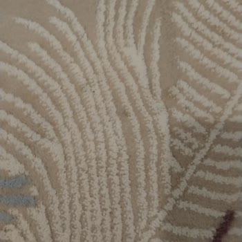 Uçar Halı Yıkama Ve Overlok Fabrikası Paramızı Vermiyor