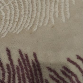 Uçar Halı Yıkama Ve Overlok Fabrikası Paramızı Vermiyor