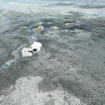 Aydos Orman Park Aydos Ormanının Bozuk Yolları