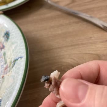 Pekfood Mantının İçinden Taş Çıktı