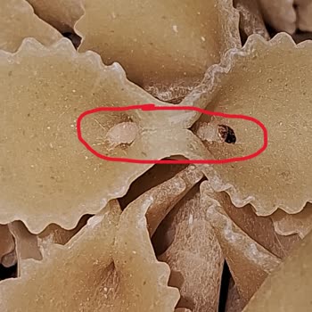Nuh'un Ankara Makarnası'nda Kurt Ve Larva