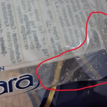 Nuh'un Ankara Makarnası'nda Kurt Ve Larva