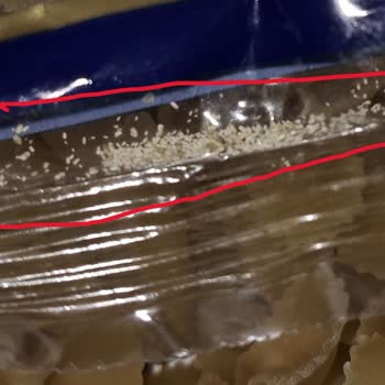 Nuh'un Ankara Makarnası'nda Kurt Ve Larva