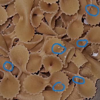 Nuh'un Ankara Makarnası'nda Kurt Ve Larva