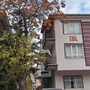 Keçiören Belediyesi Yan Binanın Bahçesindeki Ağaç