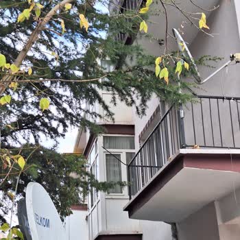 Keçiören Belediyesi Yan Binanın Bahçesindeki Ağaç