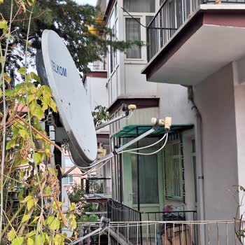 Keçiören Belediyesi Yan Binanın Bahçesindeki Ağaç