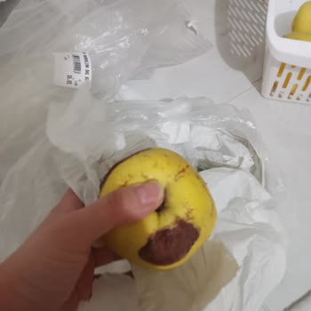 İmes Gross Çürük Meyve Verilmesi