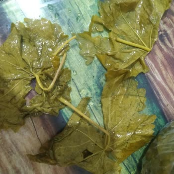 Egeden_81_ile Aldığım 5 Kiloluk Yapraklar Hepsi Yırtık Çıktı