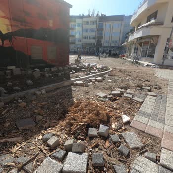 Balıkesir Büyükşehir Belediyesi Ağaçlarımızı Kesme Büyükşehir!