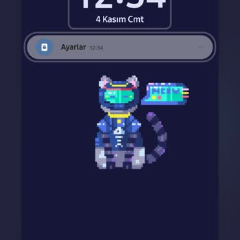 Samsung Note 20 Ultra Ekran