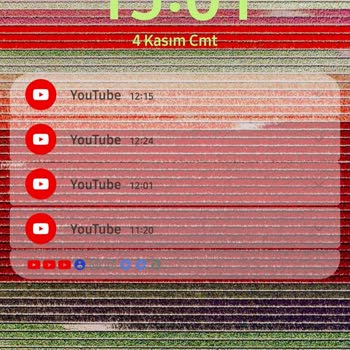 Samsung Note 20 Ultra Ekran