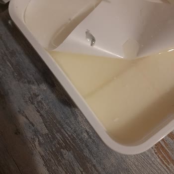 Ekici Peynir İçinde Yüzen Küfler