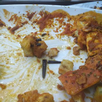 Yaprak Döner, Plastik Çatal Kırılıyor Saglık Acısından Çok Riskli