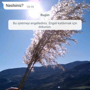 WhatsApp Endonezya İşletme Hesabi İlgim Alakam Olmadığı Halde Mesaj Attı