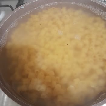 Arbella Makarna Nın İçinden Böcekler Çıkması