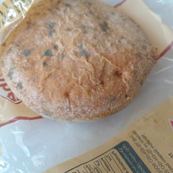 İstanbul Halk Ekmek Küflü Ekmek Yenilecek Gibi Değil