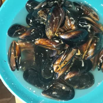 Metro Market Bozuk Midye