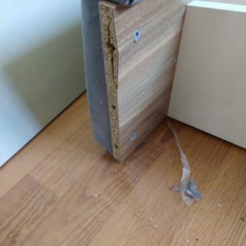 Güven Nakliyat (Konya) Güven Nakliyat, Güven Sorunu