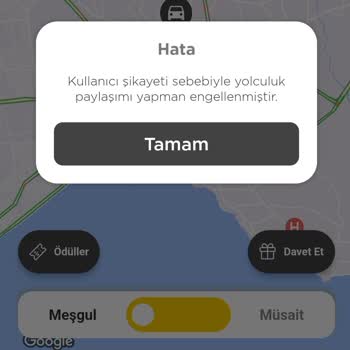 Martı Bir Taksi Şirketinin Sürücüye Verdiği Değer