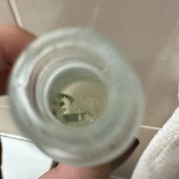 SHE Vec Üründe Küflenme