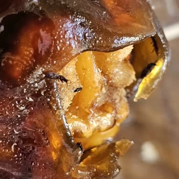 Migros Kurtlanmış Cevizli Sucuk