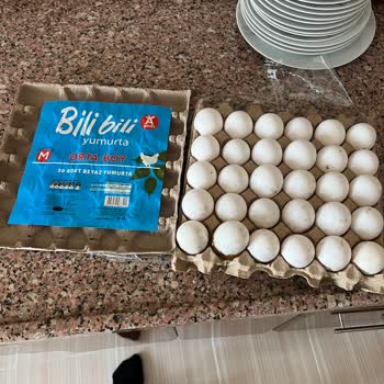 BİM'den Aldığımız Yumurta Küflü Çıktı!