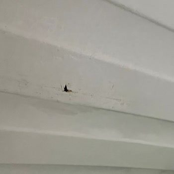 Arçelik Çamaşır Makinesi Pas Problemi