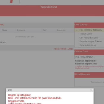 Total Güzel Enerji A. Ş.