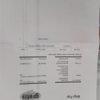 Kiwi Home Kiwi Airfryer Bozuldu