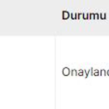 Gp Kompozit 10 Gündür Kargolanmayan Deflektör