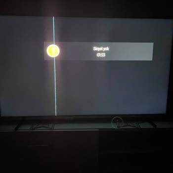 Vestel'den Paramla Aldığım TV'yi Kullanamadım