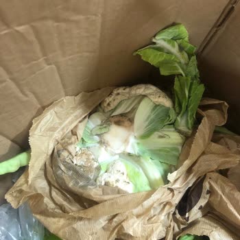 DemirciBahçesi'nden Gelen Ürünler Çok Kötüydü