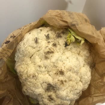 DemirciBahçesi'nden Gelen Ürünler Çok Kötüydü