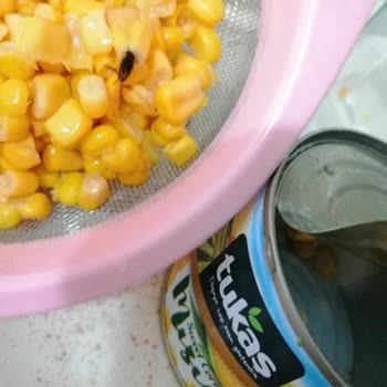 Tukaş Konserve Mısırın İçinden Sinek Çıktı