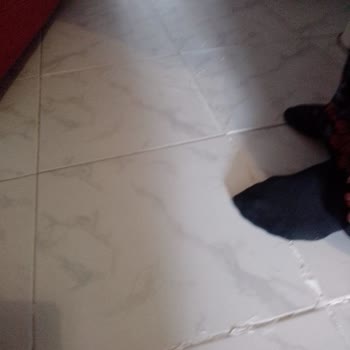 Neova Sigorta Sigorta Şirketinin Evimin Hasarlarını Karşılanmaması