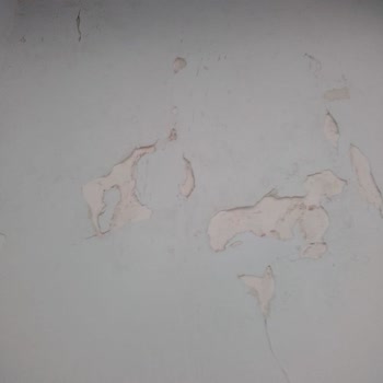 Neova Sigorta Sigorta Şirketinin Evimin Hasarlarını Karşılanmaması
