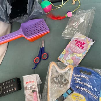 Gezeroğlu PetShop Aldığım Ürünler Eksik Ve Yanlış Gönderilmiş