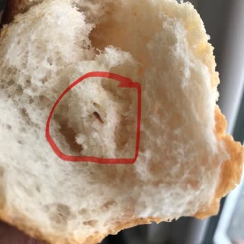 Şok Marketler Gıda Sağlığı İçin Şikayet Ediyorum