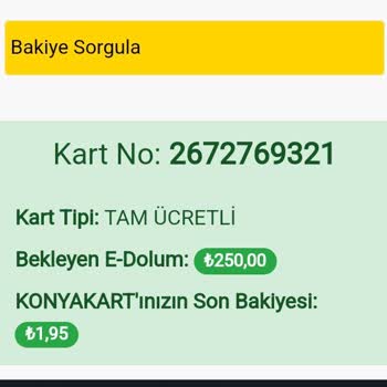 Konya Büyükşehir Belediyesi Konya Elkartıma Yüklediğim 250 TL Yatmadı.